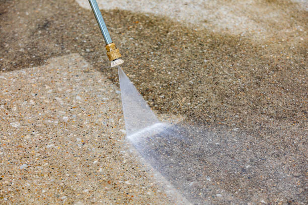 Best Gutter Cleaning  in Hamilton, AL